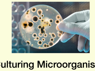 Culturing Microorganisms GCSE Separate Biology