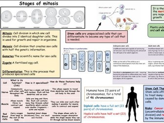 Cells Revision Sheet (KS3)