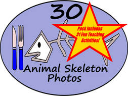 animal skeleton bones powerpoint