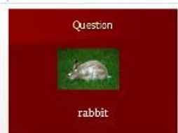 English as an Additional Language - Bingo (Words and Pictures) - Animals