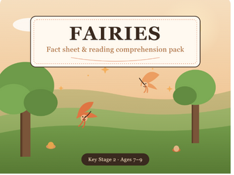 Fairies Fact Sheet & Reading Comprehension Activity Pack (KS2)