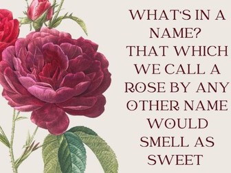 Romeo and Juliet Quote Posters