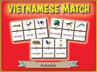 Vietnamese Match - Animals