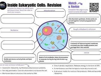 An overview of A-level cell structure