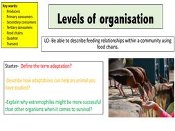 Levels of organisation
