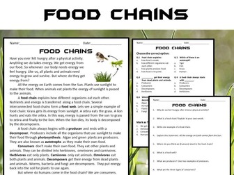 Food Chains Reading Comprehension Passage and Questions - PDF
