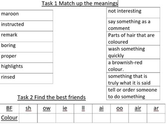 Vocab  & Phonics Activity- Fresh Start
