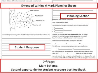 Cell Biology 6 Mark Extended Writing Planning Sheets