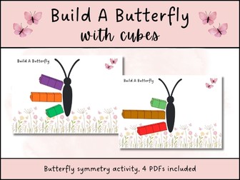 Butterfly Symmetry Maths Activity EYFS