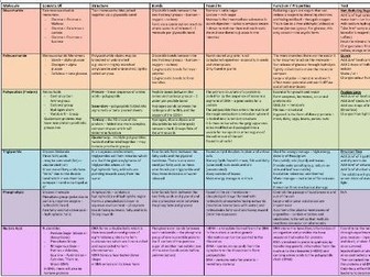 Biological Molecules Summary