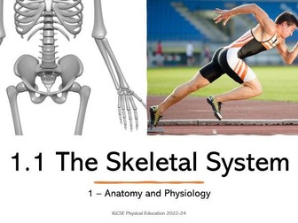 NEW CAMBRIDGE IGCSE PE 2022-24 - The Skeletal System