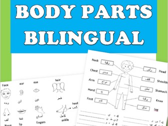 Body part vocabulary bilingual ( Arabic- English )