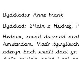 Dyddiadur fel Anne Frank