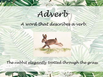 English Display Pack