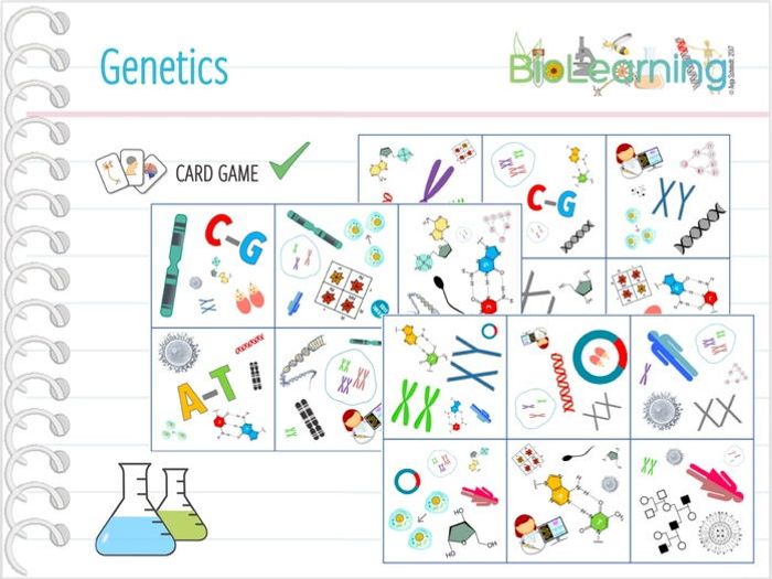 Genetics - 8x Games And Activities (KS3/4) | Teaching Resources