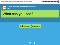 Interrogative determiners and pronouns - Interactive Activity - KS3 Spag