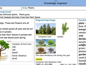 KS1 plants and evergreen and Deciduous trees (year 1&2)