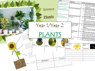 Year 1/Year 2- PLANTS- Whole Science Unit Term- Planning, PowerPoint, Resources- 10 editable lessons