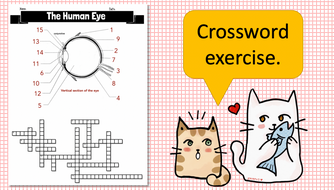 Human Eye Crossword (structure function and focusing) Teaching Resources