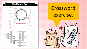 Human Eye Crossword (structure function and focusing) Teaching Resources Human Eye Crossword (structure function and focusing) Teaching Resources