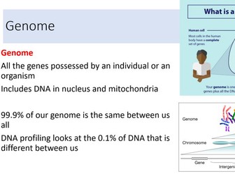 OCR Biology A, A Level, Manipulating Genomes, Chapter 21