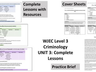 Unit 3 Criminology: Complete Lessons and Resources