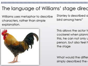 Stage Directions in A Streetcar Named Desire - AQA Dramatic Encounters - A Level