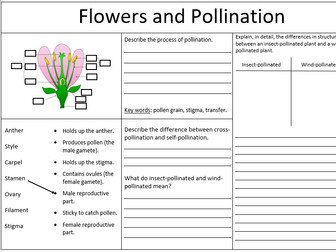 Pollination, Fertilisation and Germination - KS3 worksheet | Teaching ...