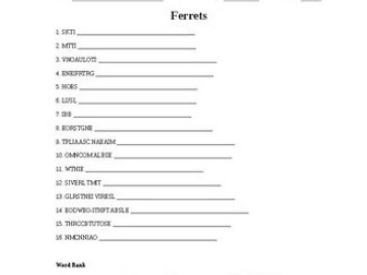 Ferrets Word Scramble for Small Animal Science Students