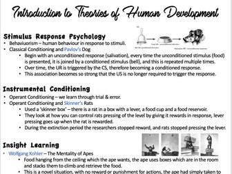 Developmental Psychology Summary Slides
