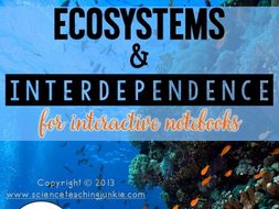 Ecosystems and Interdependence for Interactive Notebooks