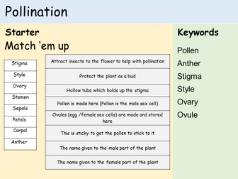 KS3 Plants - Lesson 3 - Pollination