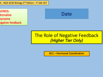 B11.4 The Role of Negative Feedback (HT)