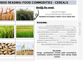 Guided Reading: Food Commodities Cereals