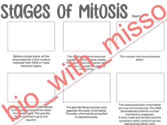 Mitosis Storyboard