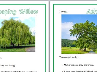 Tree resource cards