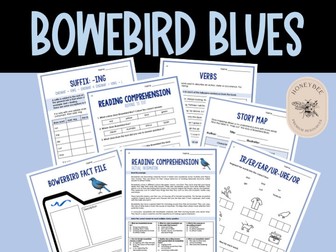 Bowerbird Blues | BOOK WEEK 2024 & NSS 2024 | Activity Pack