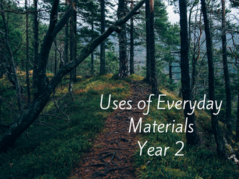 Uses of Everyday Materials Year 2 Lesson Plan