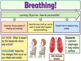 Breathing KS3 Activate Science