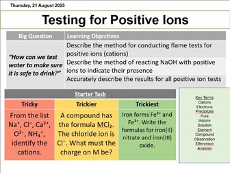 Testing for Positive Ions