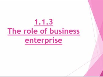 Role of Business Enterprise 1.1.3 GCSE Business