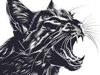 Dual Coded Literature Quotes