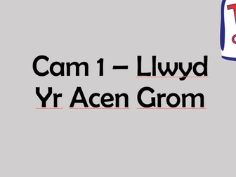 Tric a Chlic llwyd