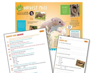 Year 2 Harvest Mice Reading comprehension