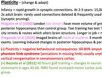 Biopsychology summary