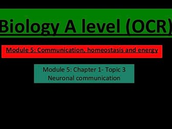 Neuronal communication (A Level biology)