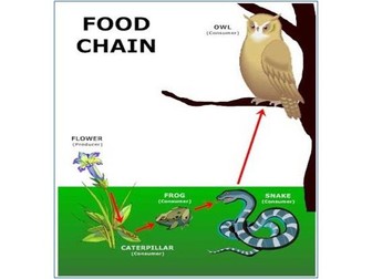 States of Matter, Elements, Mixtures, Compounds, Energy, Food Chains and Webs. Homework. Y7