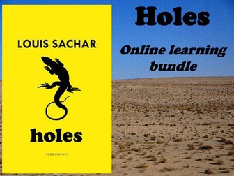 Holes- Online learning Bundle