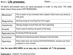 ks3 revision science worksheet teaching resources