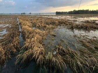 Valencia floods | Spanish | GCSE | MSF